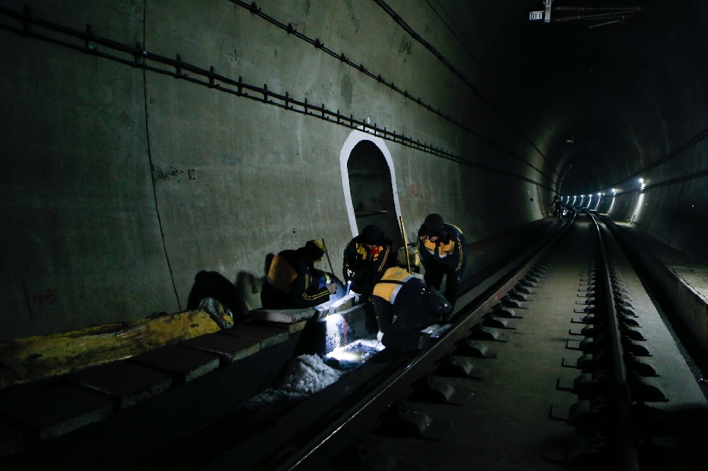 驿城铁路运营隧道病害现状